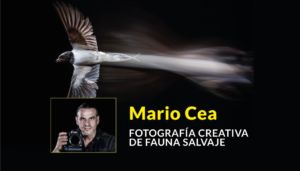 Ciclo de charlas Mario Cea