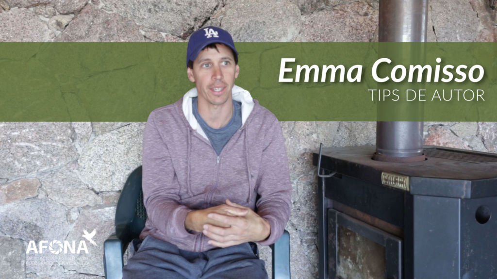 Tips de Autor - Emmanuel Comisso