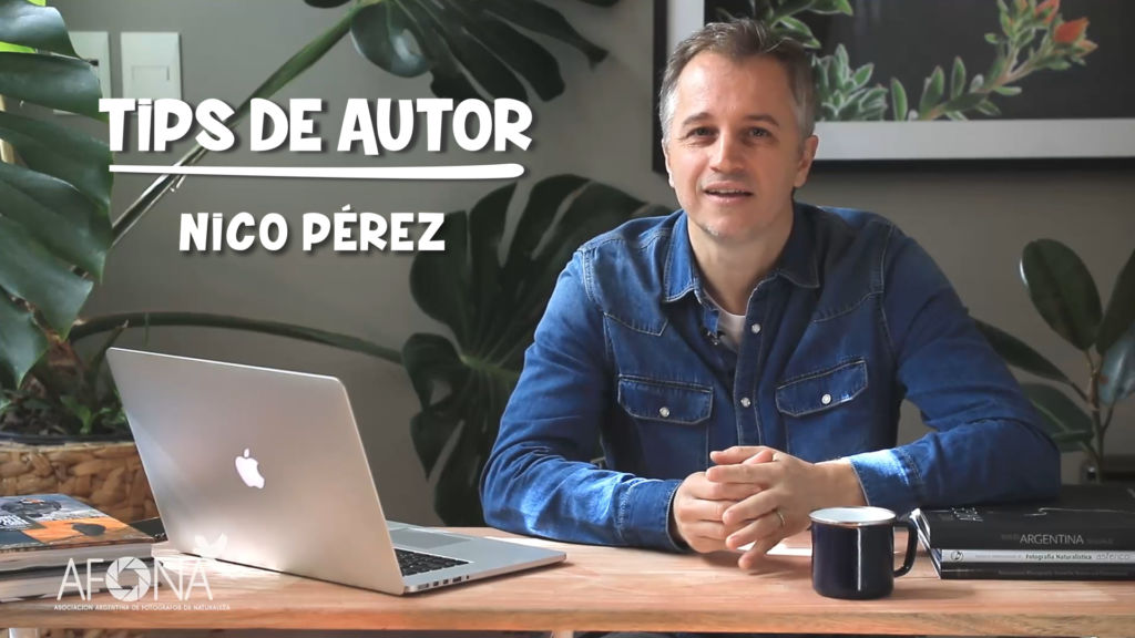 Tips de autor - Nico Perez