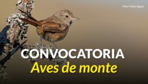 convocatoria Aves de monte