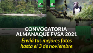 Convocatoria Almanaque FVSA