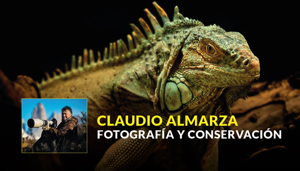 Ciclo de Charlas por Instagram Live - Claudio Almarza