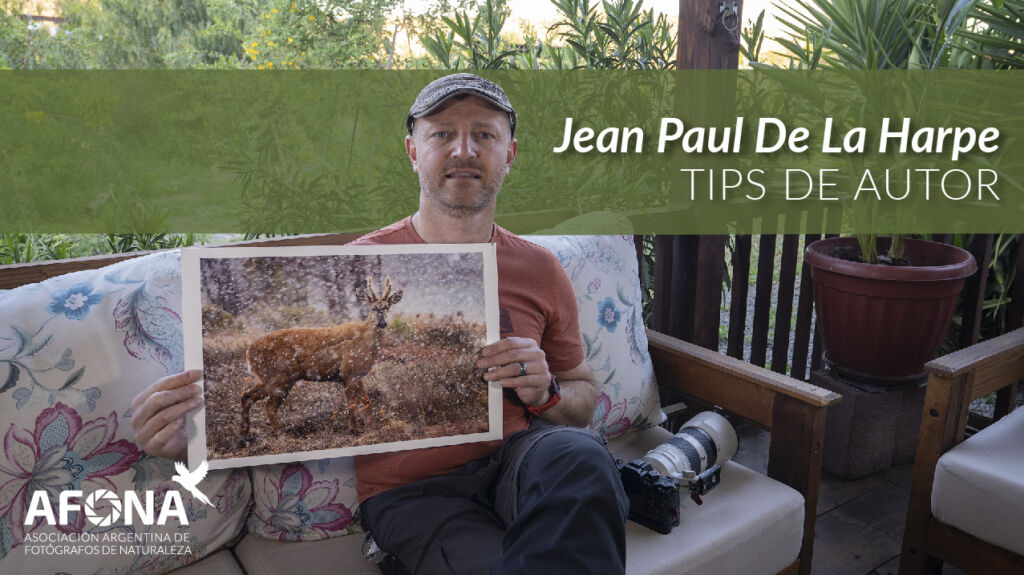Tips de Autor - Jean Paul De La Harpe