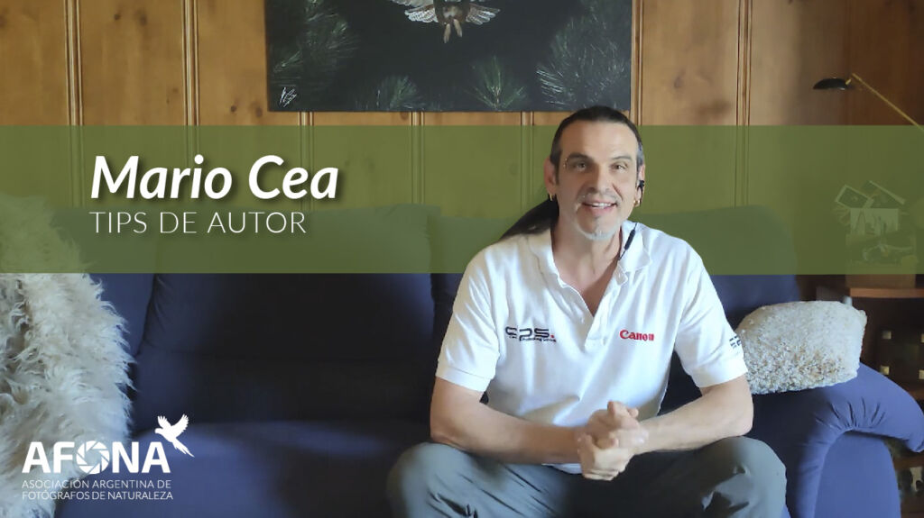 Tips de Autor - Mario Cea