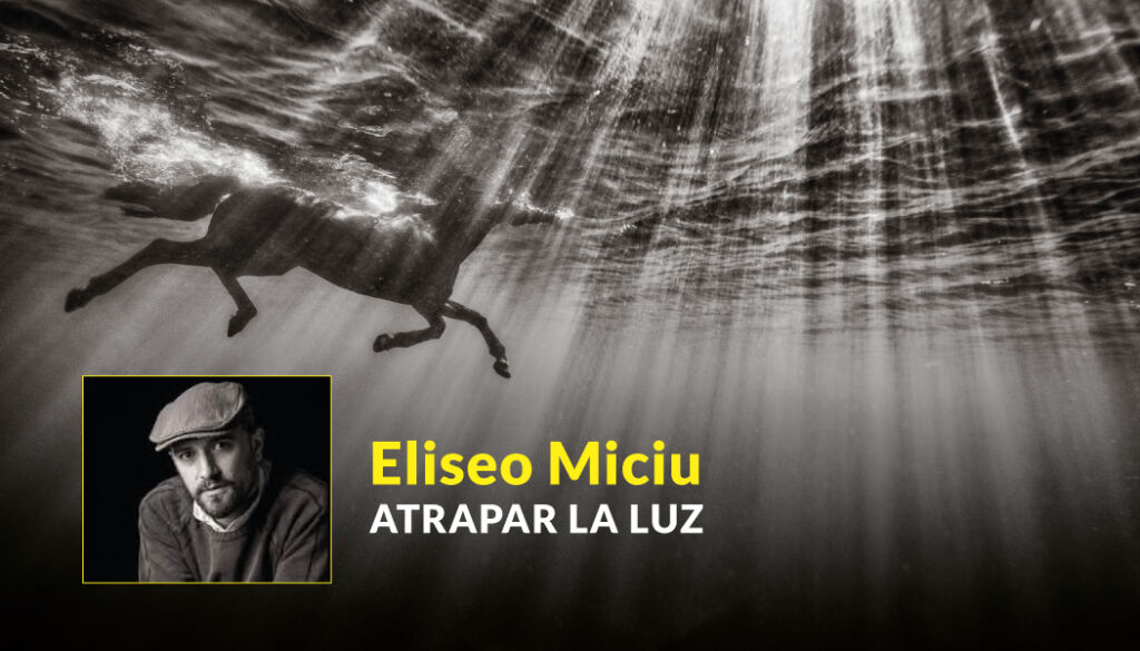 Ciclo de charlas por Instagram Live - Eliseo Miciu