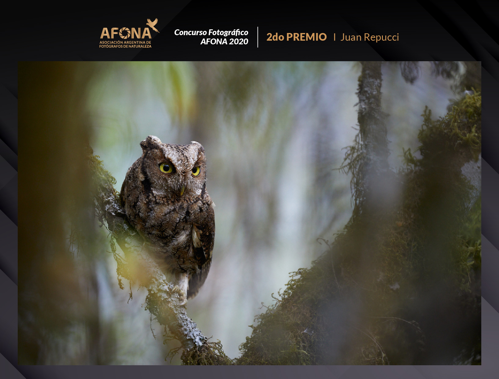 certificado_2do PREMIO I Juan Repucci