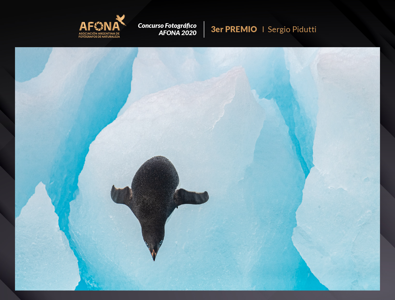 certificado_3er PREMIO I Sergio Pidutti