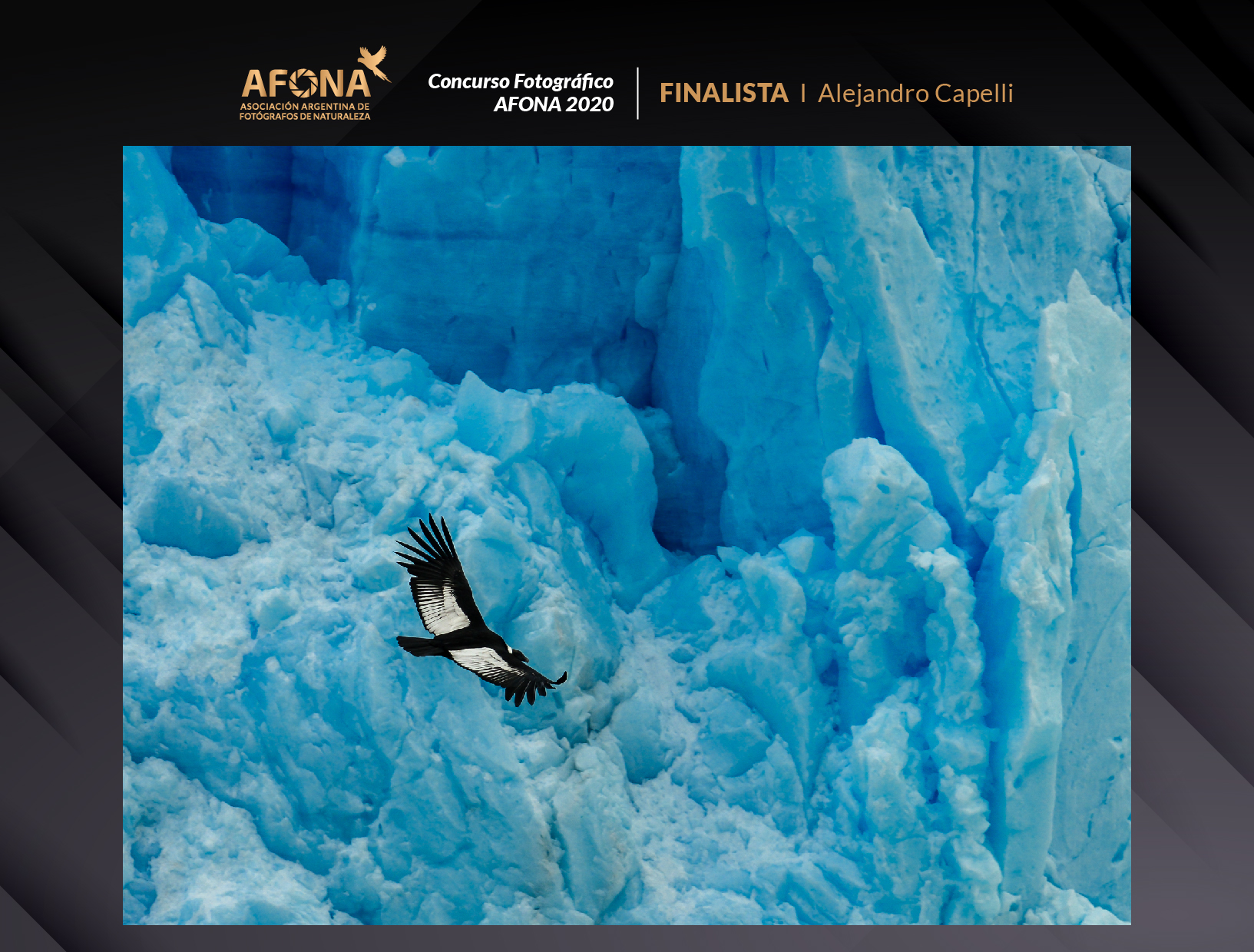 certificado_FINALISTA I Alejandro Capelli