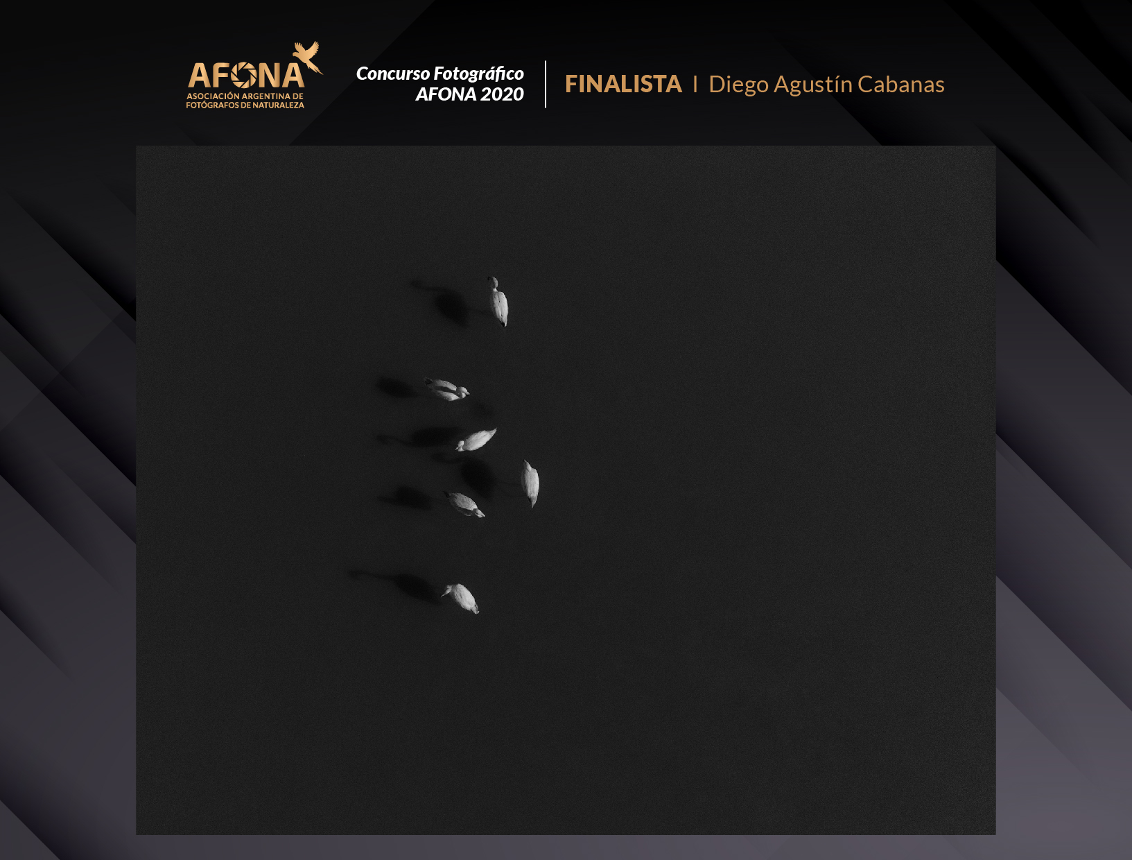 certificado_FINALISTA I Diego Agustín Cabanas