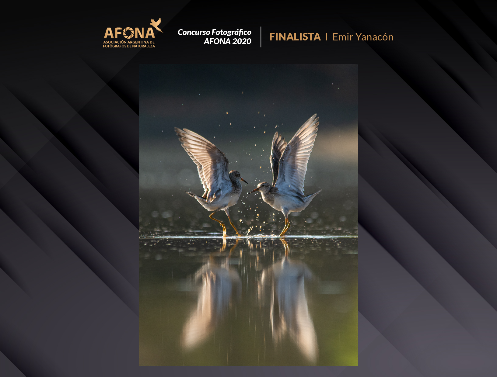 certificado_FINALISTA I Emir Yanacón