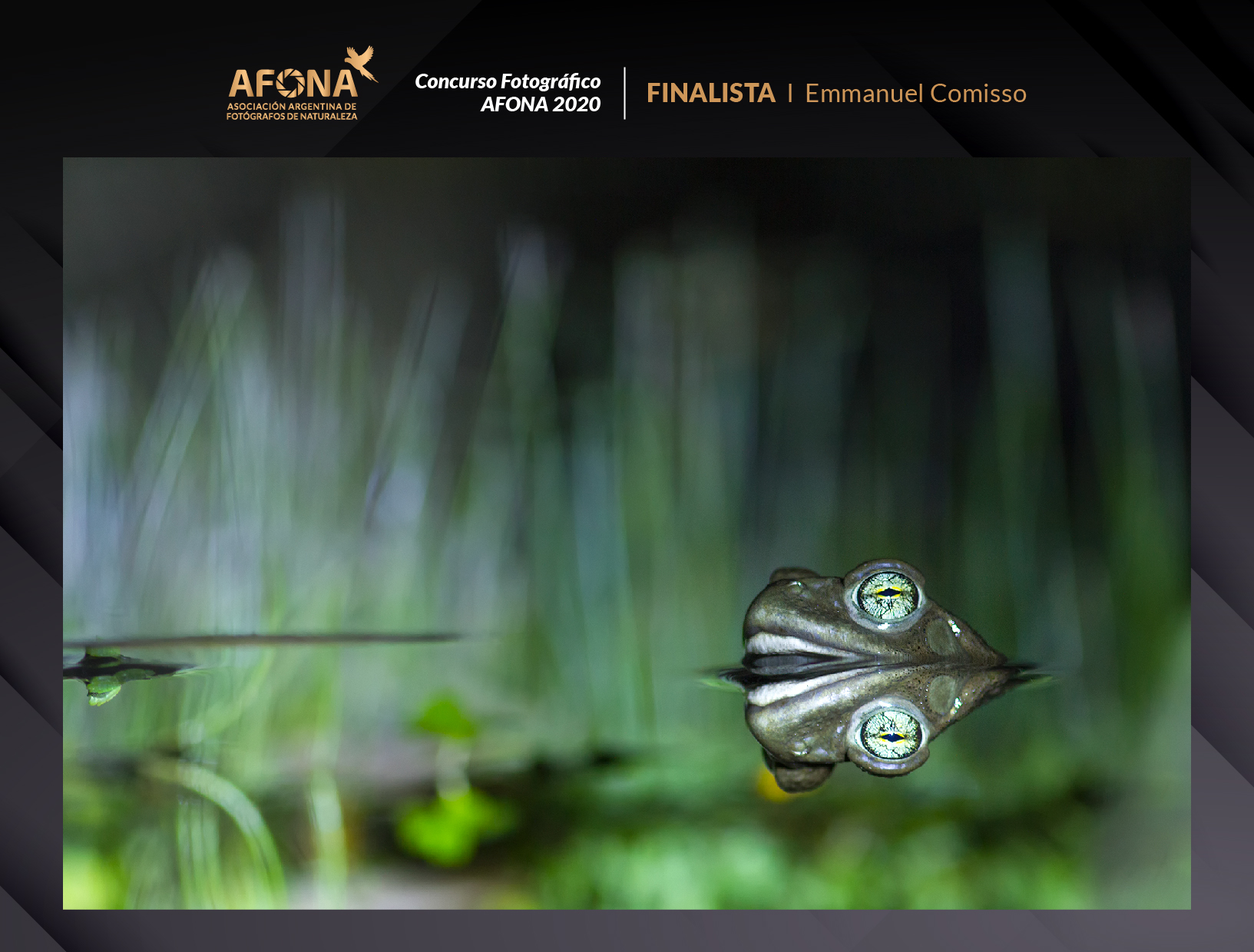 certificado_FINALISTA I Emmanuel Comisso