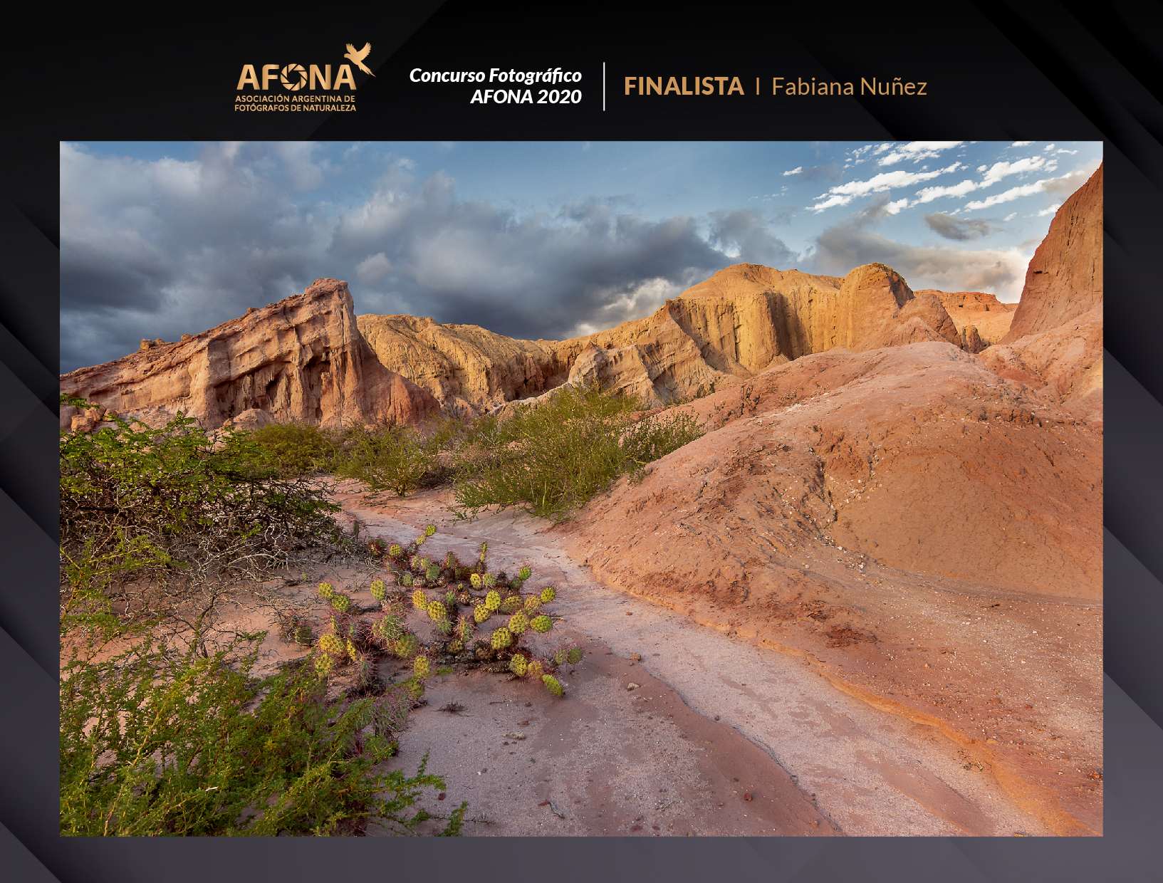 certificado_FINALISTA I Fabiana Nuñez