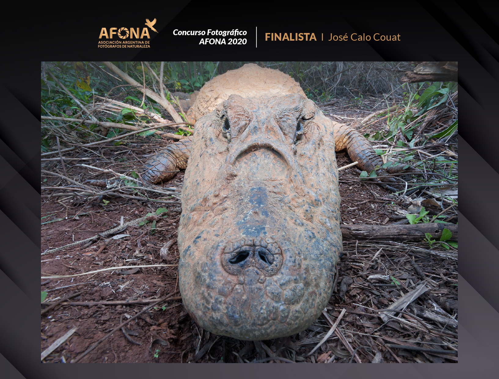 certificado_FINALISTA I José Calo Couat