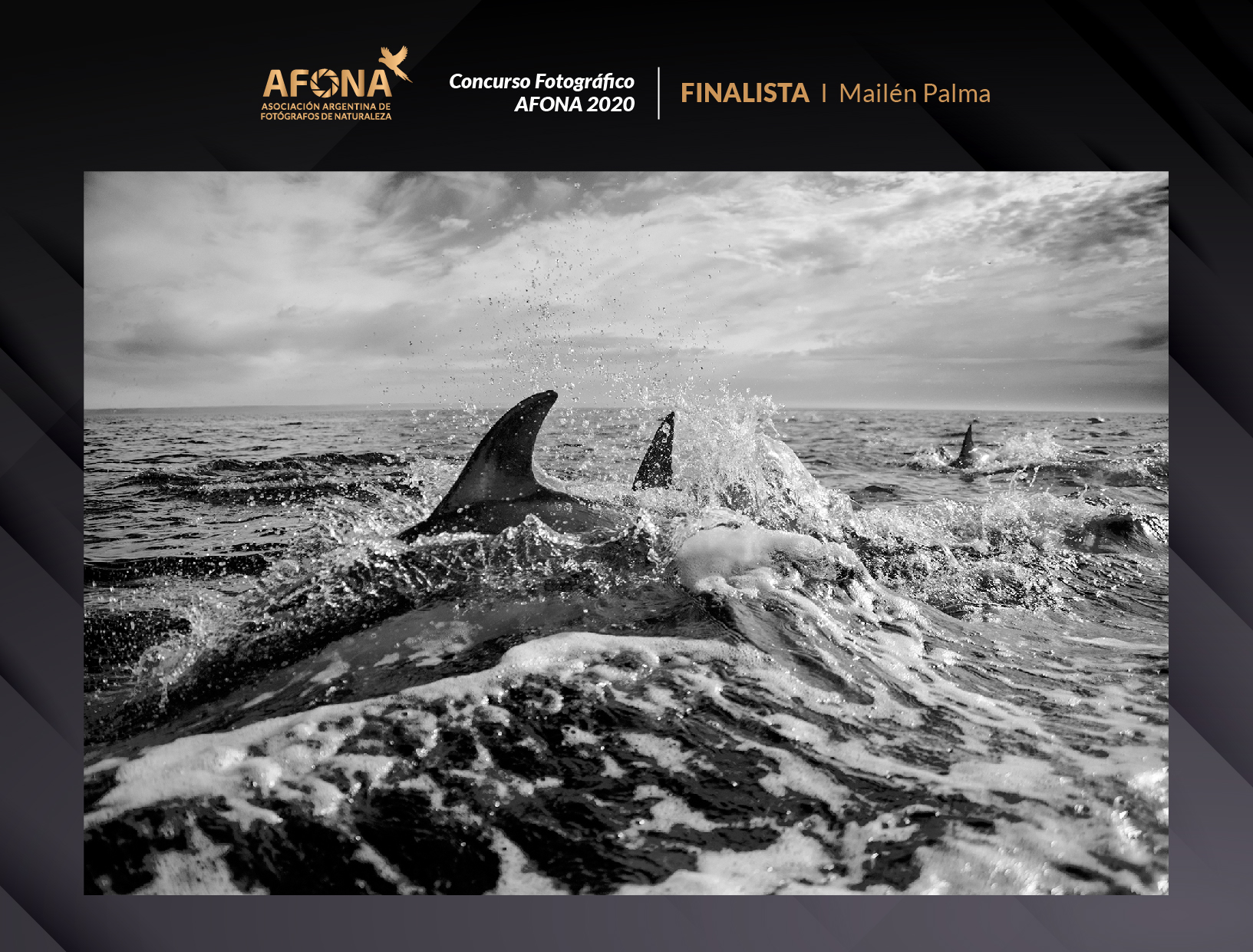 certificado_FINALISTA I Mailén Palma