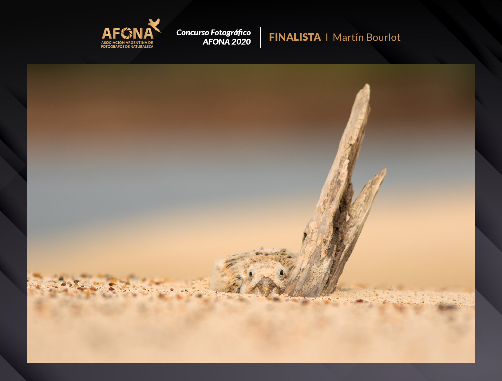 certificado_FINALISTA I Martín Bourlot