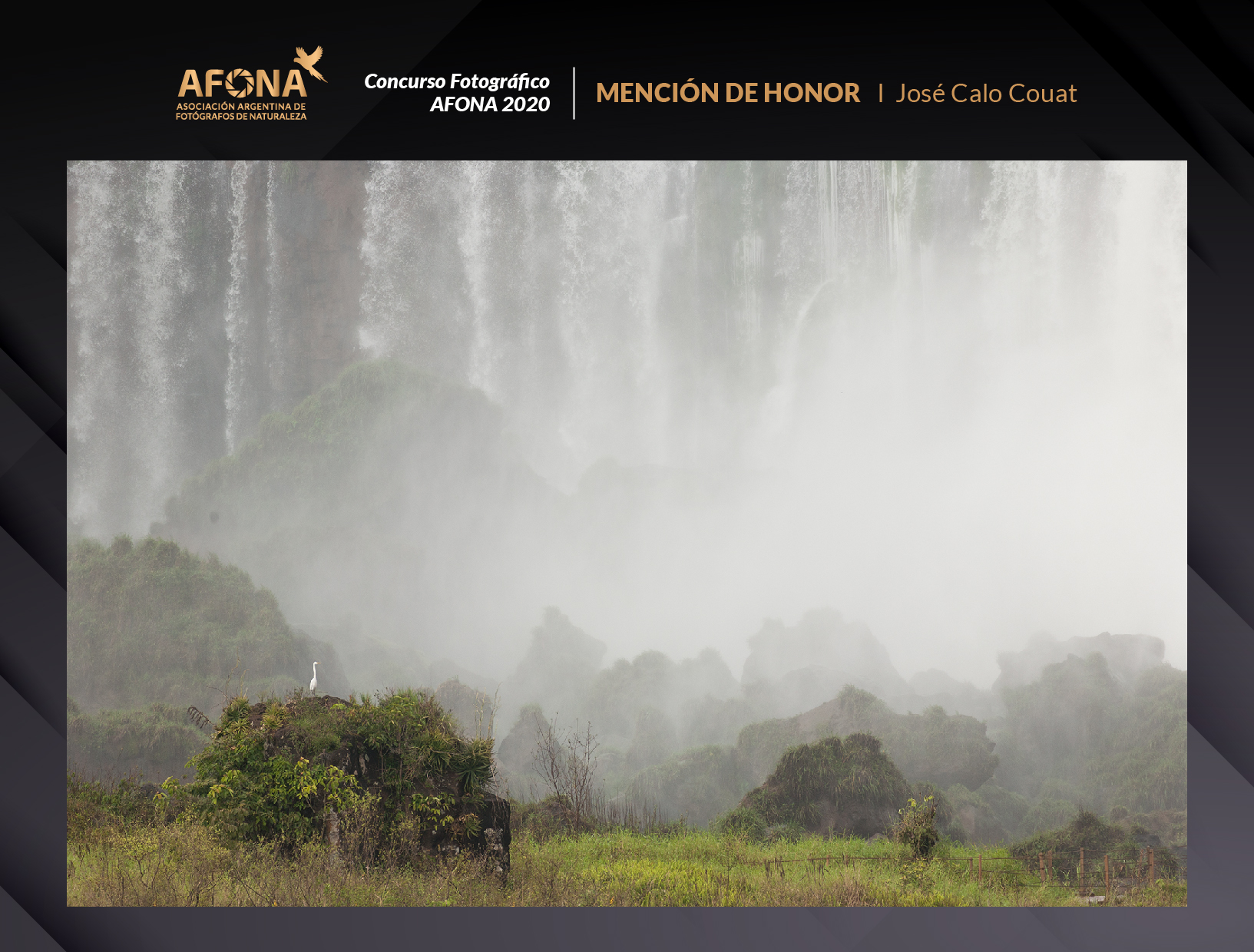 certificado_MENCIÓN DE HONOR I José Calo Couat