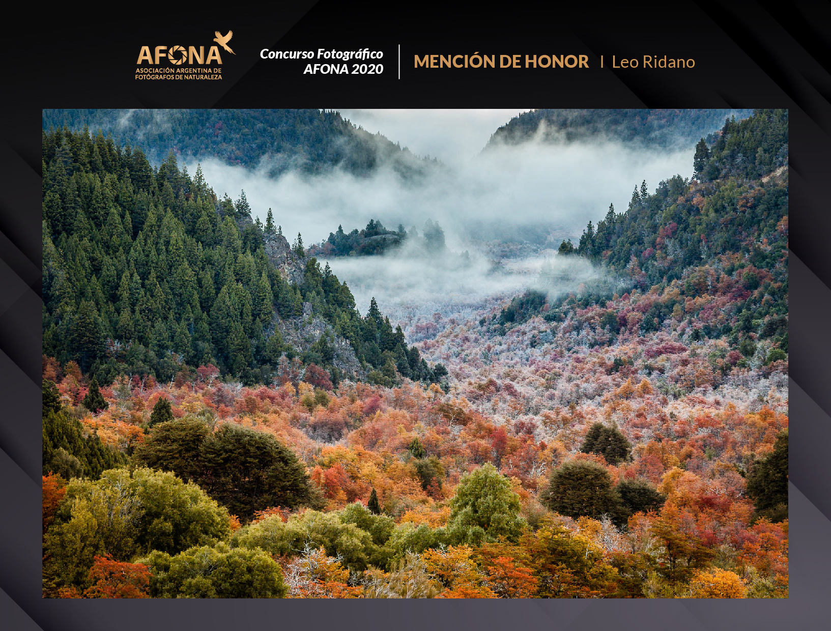 certificado_MENCIÓN DE HONOR I Leo Ridano