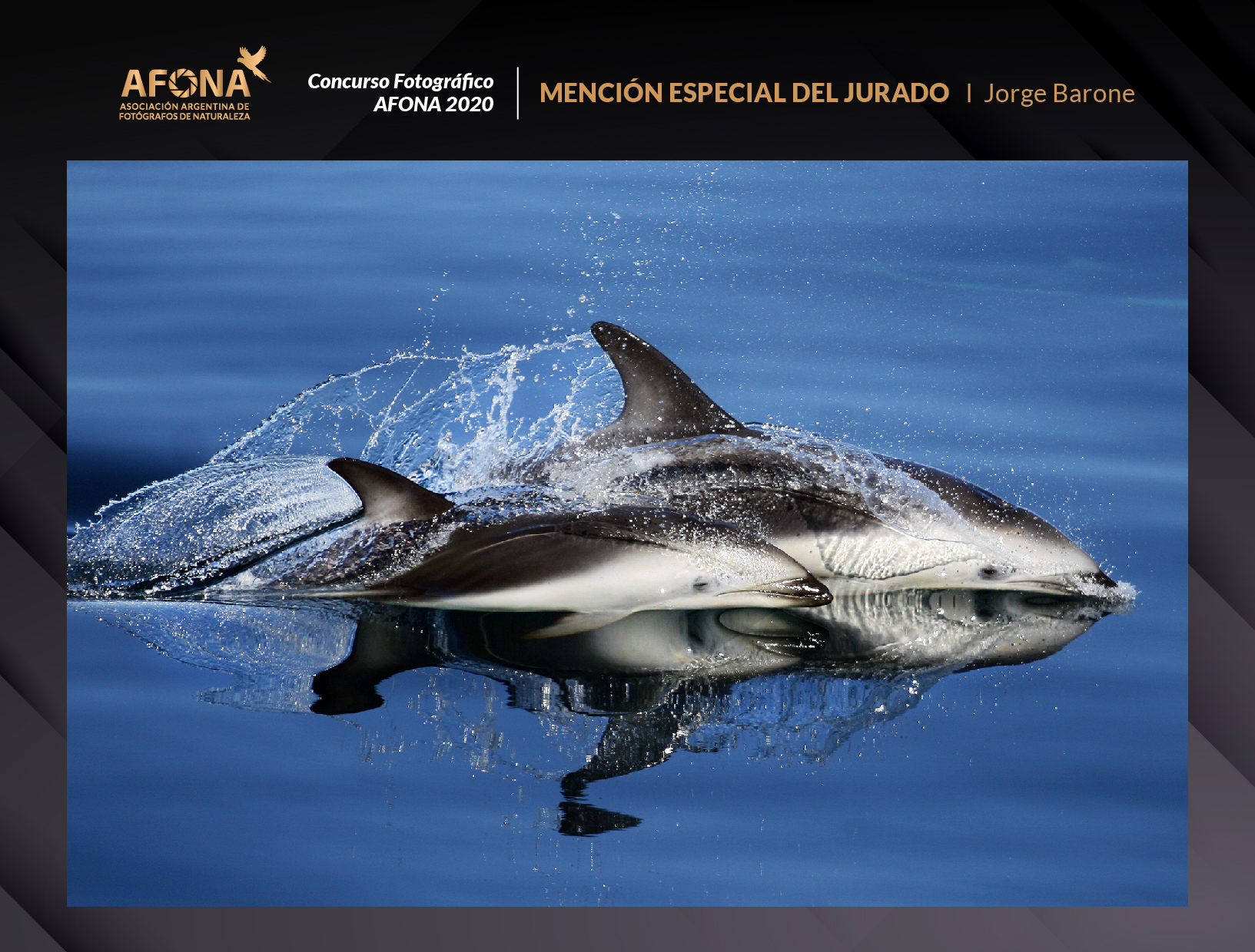 certificado_MENCIÓN ESPECIAL DEL JURADO I Jorge Barone