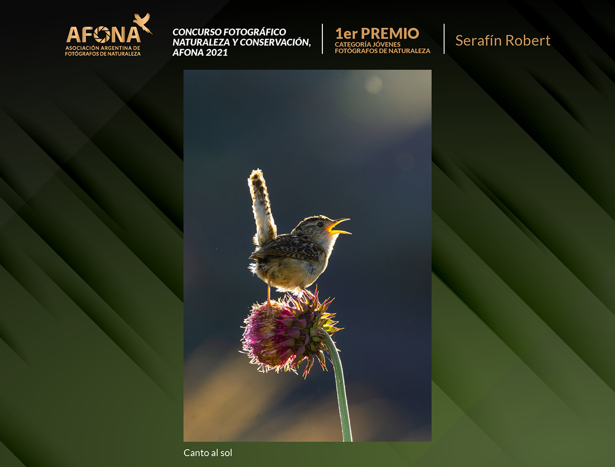 certificado 2021 horizontales_1er PREMIO Serafín Robert