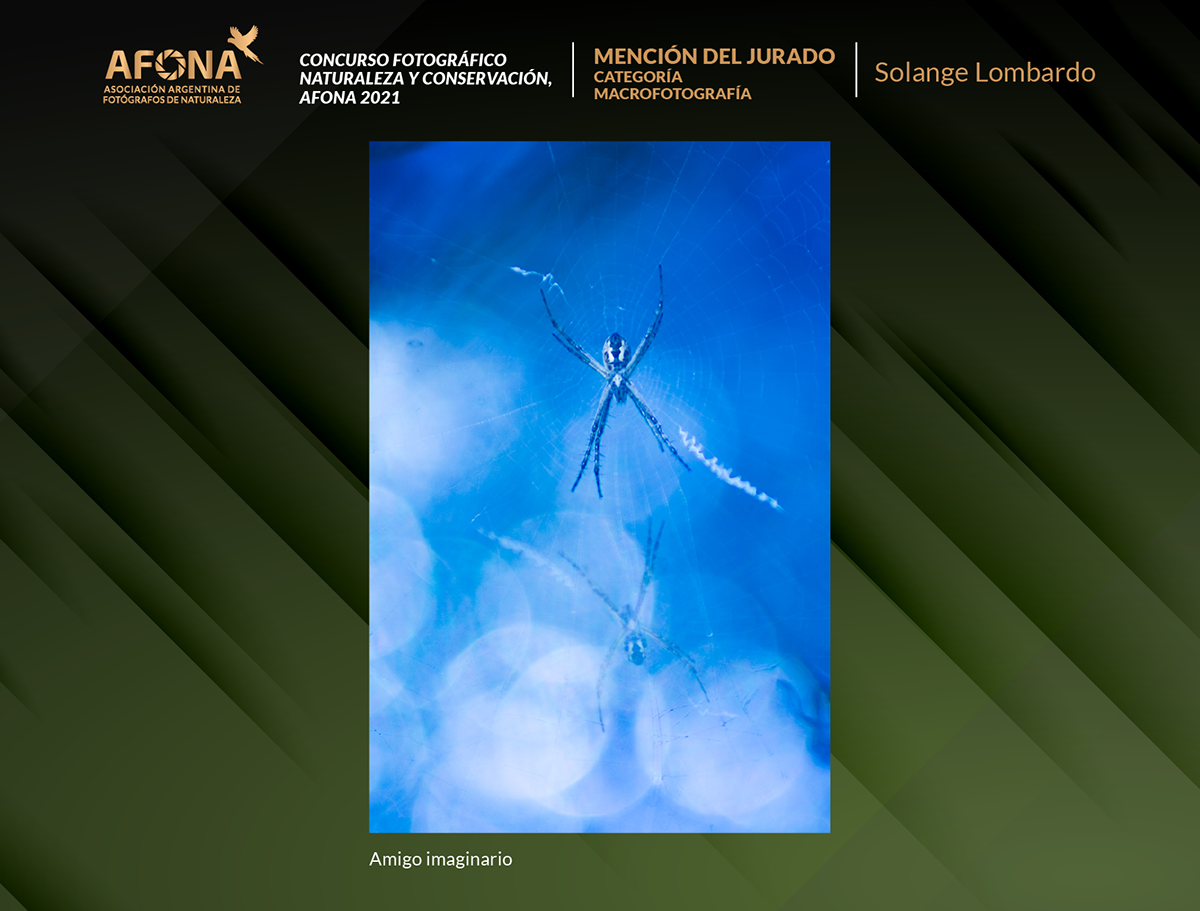 certificado 2021 horizontales_MENCION Andrés Ruggeri copia 2