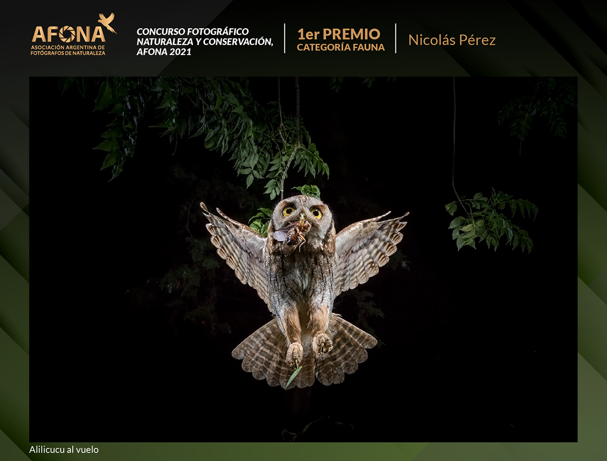 certificado 2021_1er PREMIO Nicolás Pérez