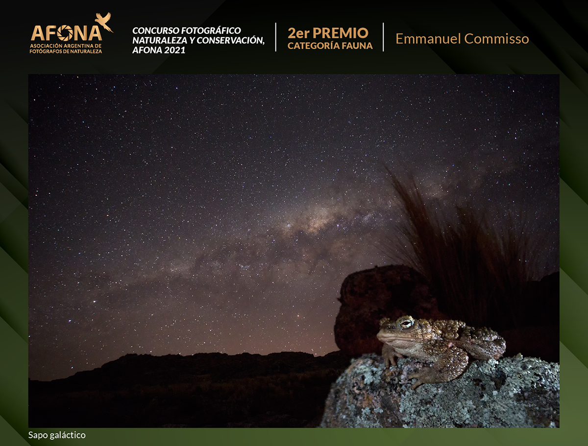 certificado 2021_2do PREMIO Emmanuel Commisso