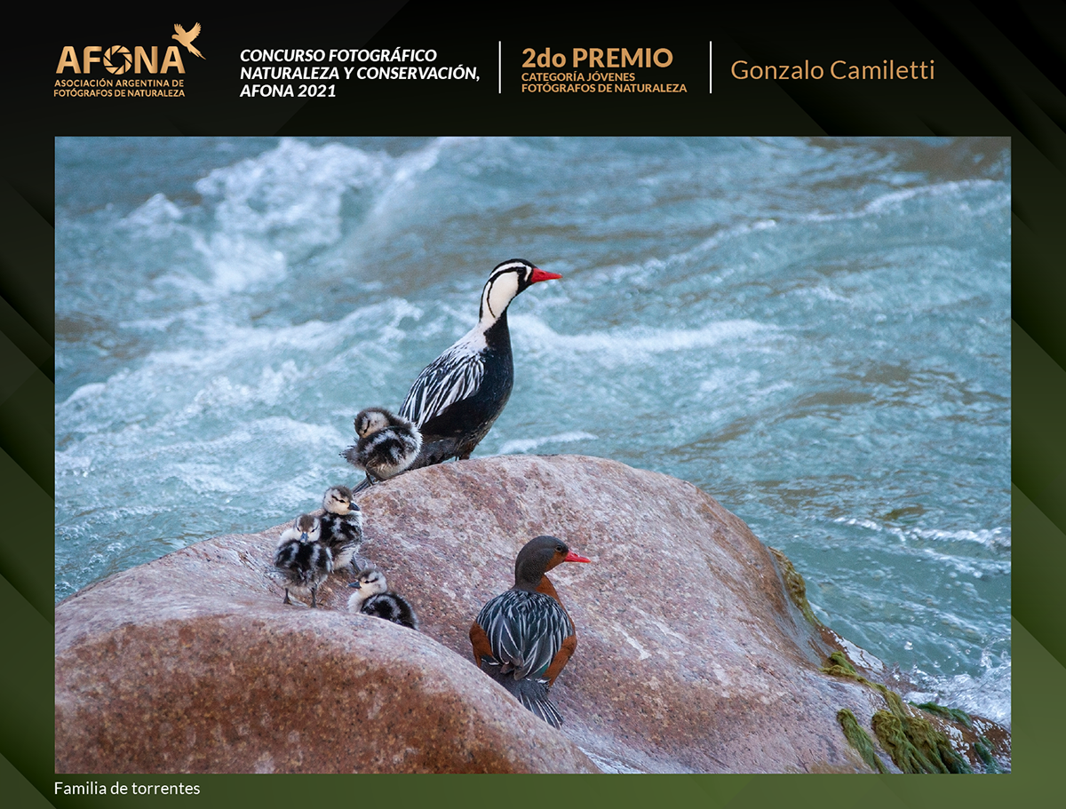 certificado 2021_2do PREMIO Gonzalo Camiletti