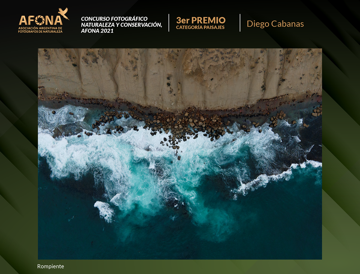 certificado 2021_3er PREMIO Diego Cabanas