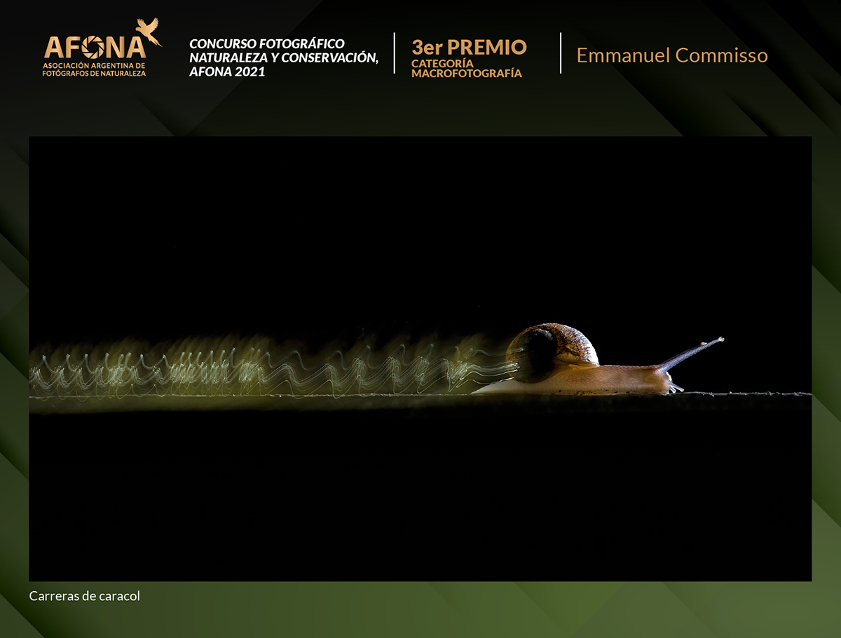 certificado 2021_3er PREMIO Emmanuel Commisso