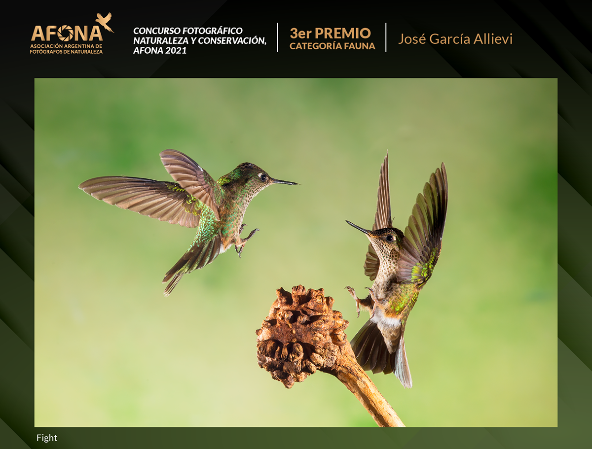 certificado 2021_3er PREMIO José García Allievi