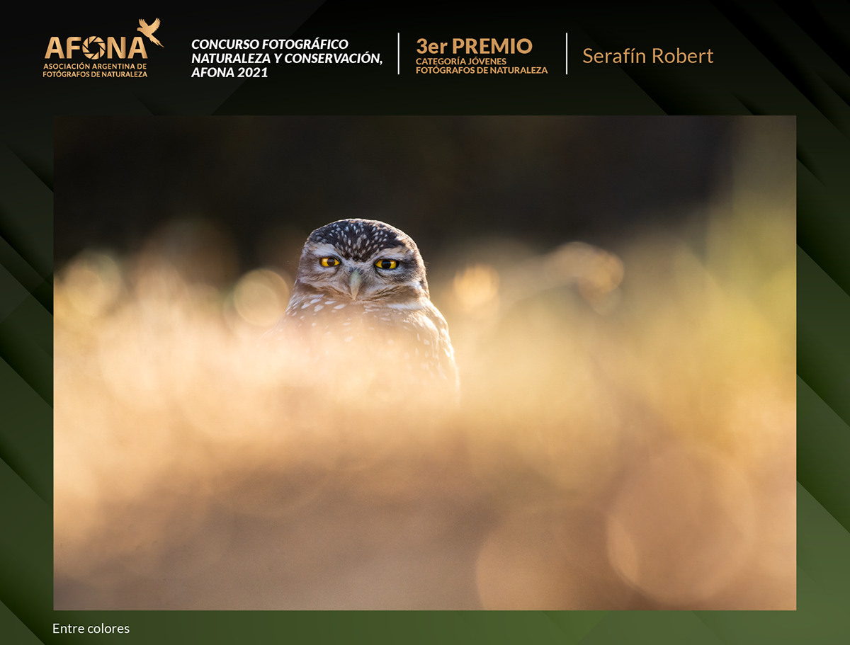 certificado 2021_3er PREMIO Serafín Robert