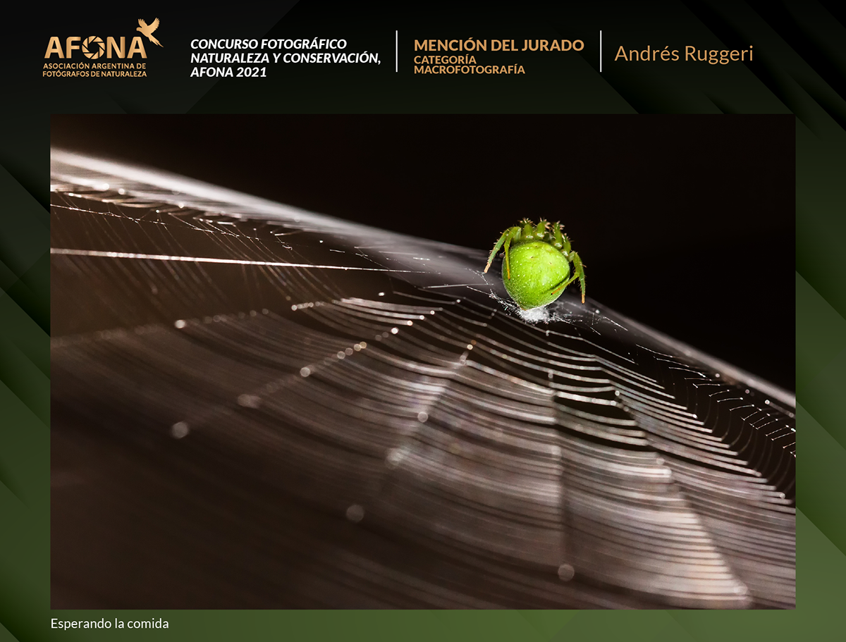 certificado 2021_MENCION Andrés Ruggeri