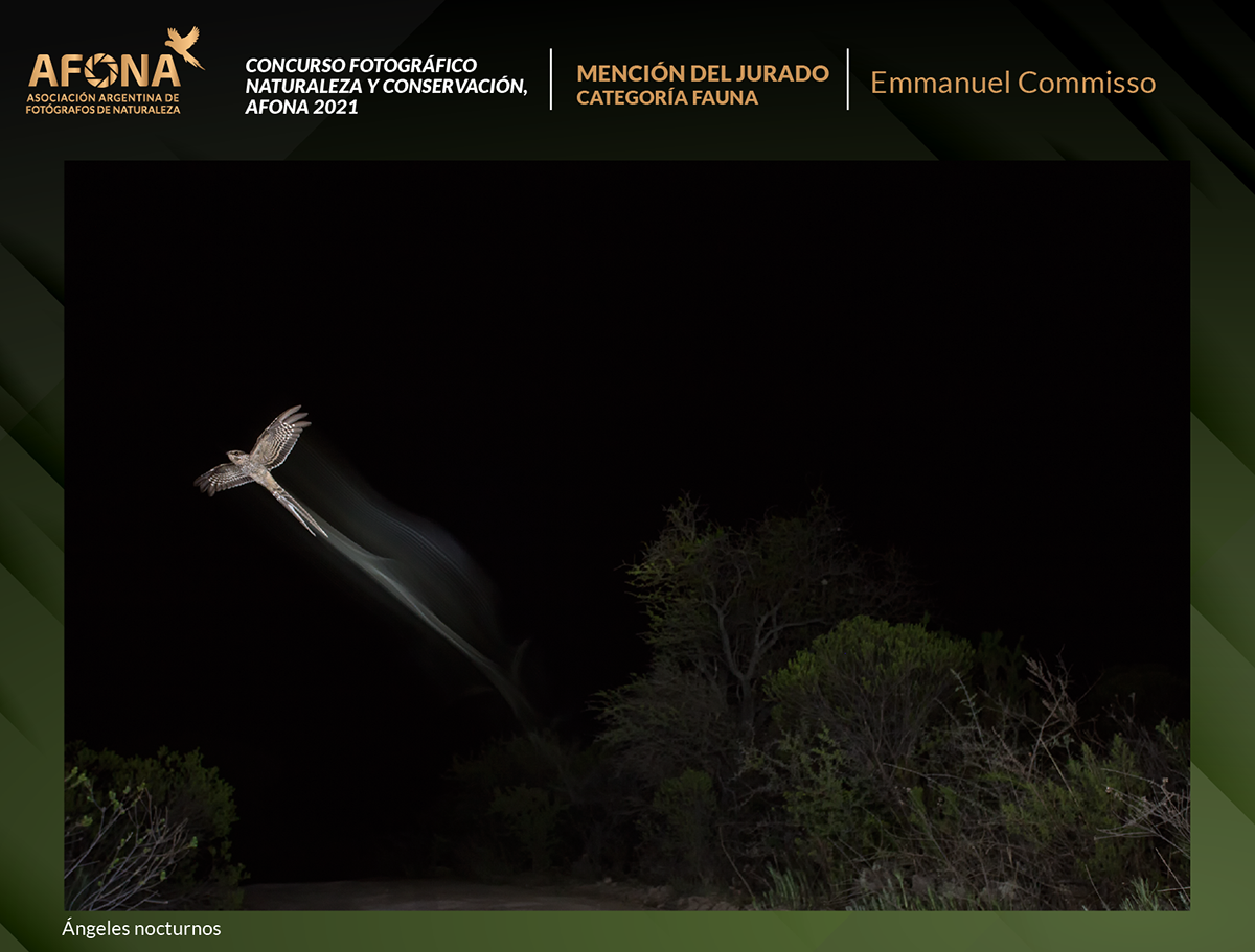 certificado 2021_MENCION Emmanuel Commisso