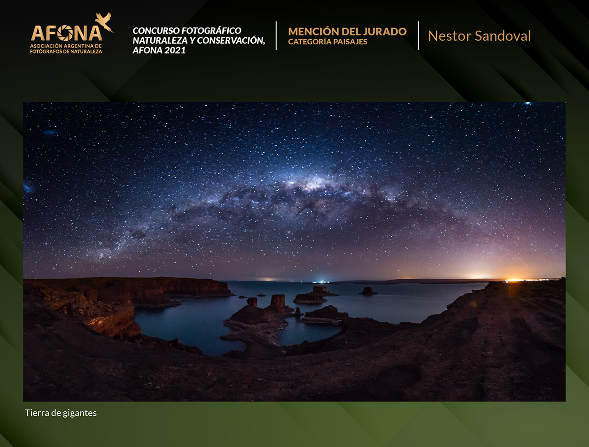 certificado 2021_MENCION Nestor Sandoval