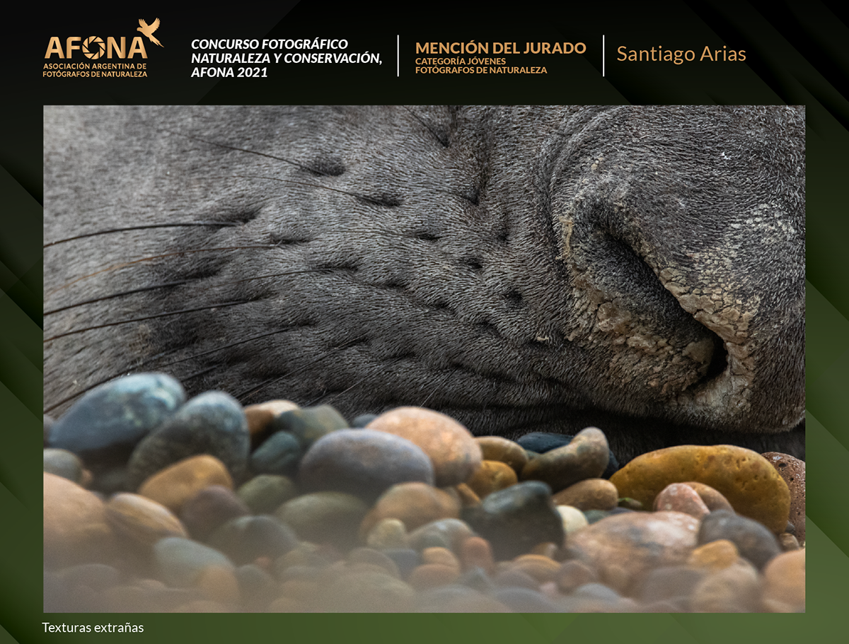 certificado 2021_MENCION Santiago Arias