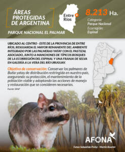 Parque Nacional El Palmar