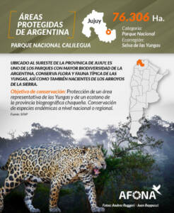 Parque Nacional Calilegua