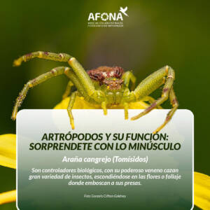 WhatsApp Image 2022-08-25 at 9.38.44 AM