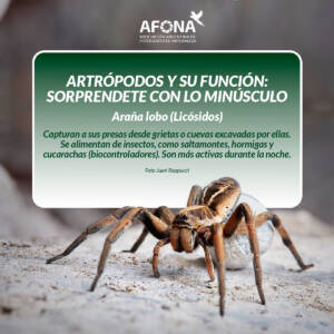 WhatsApp Image 2022-08-25 at 9.38.45 AM