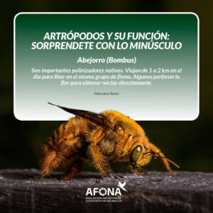 WhatsApp Image 2022-09-02 at 7.47.27 PM (1)