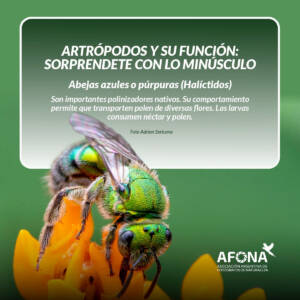 WhatsApp Image 2022-09-02 at 7.47.27 PM