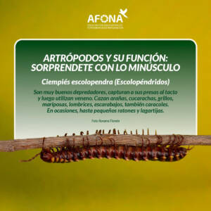 WhatsApp Image 2022-09-02 at 7.48.28 PM (1)