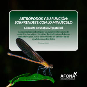 WhatsApp Image 2022-09-02 at 7.48.28 PM