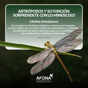 WhatsApp Image 2022-09-02 at 7.48.29 PM (1)