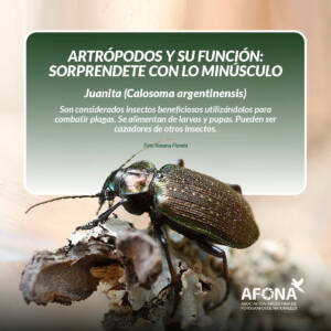 WhatsApp Image 2022-09-02 at 7.48.29 PM