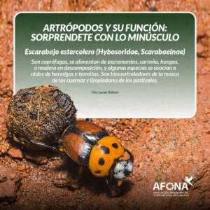 WhatsApp Image 2022-09-05 at 5.02.25 PM