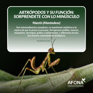 WhatsApp Image 2022-09-05 at 5.02.26 PM