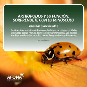 WhatsApp Image 2022-09-12 at 4.00.23 PM (1)