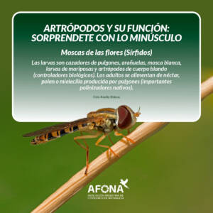 WhatsApp Image 2022-09-12 at 4.00.23 PM