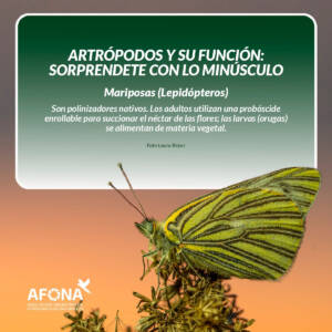 WhatsApp Image 2022-09-13 at 2.57.48 PM